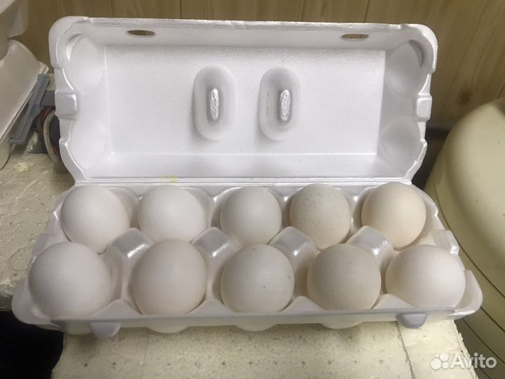 Деревенские яйца