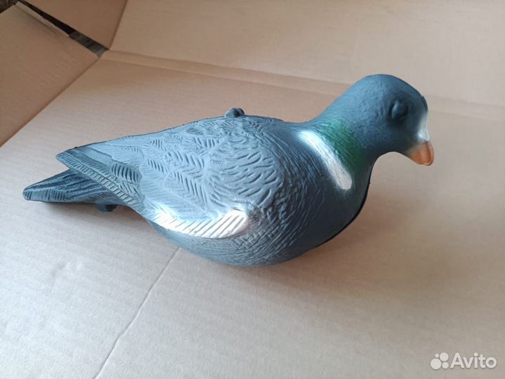 Голубь, вихарь