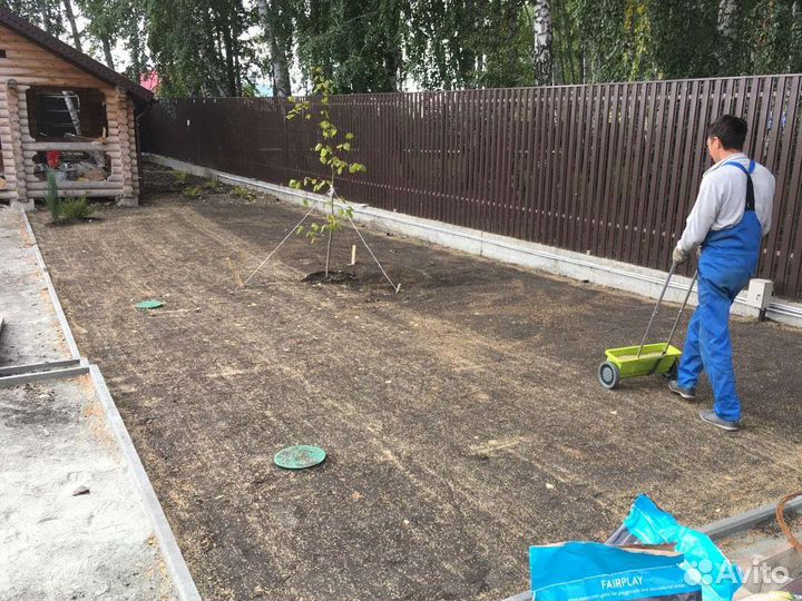 Посев газона