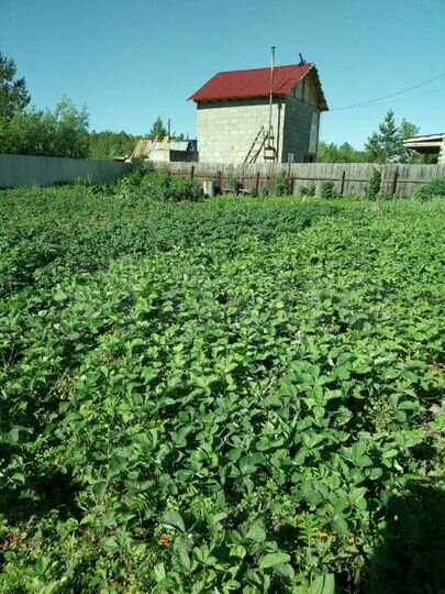 Участок 6,5 сот. (ИЖС)