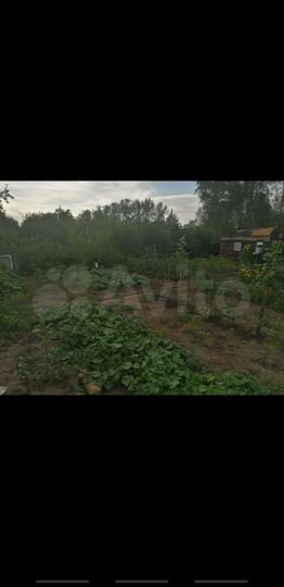 Участок 6 сот. (СНТ, ДНП)