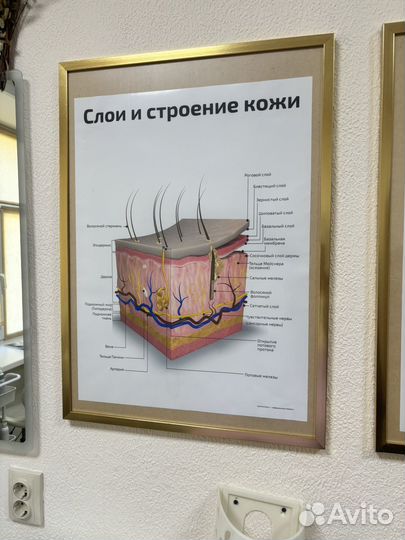 Плакат в кабинет косметолога