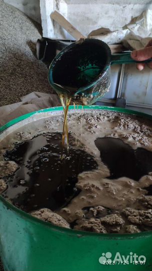 Фуз подсолнечный