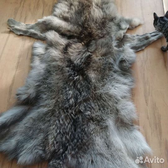 Продам шкуру волка