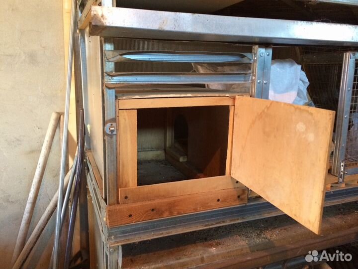 Клетки для кроликов крупных пород