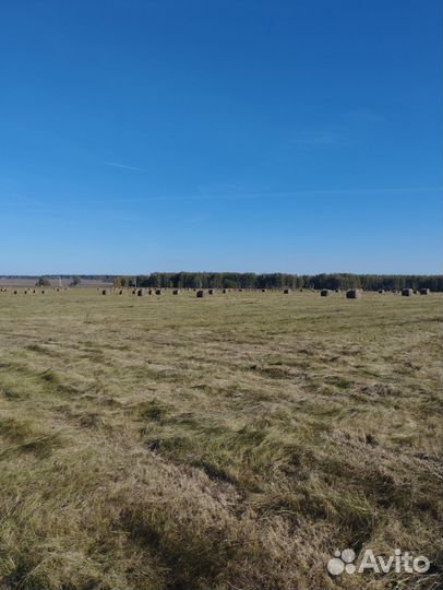 Сено в рулонах