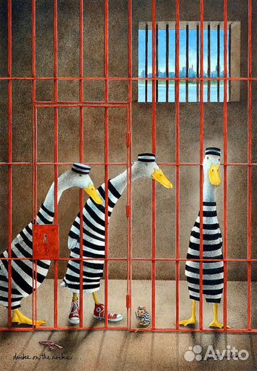 Утки индийский бегунок