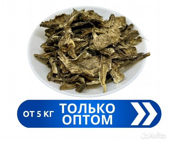 Дягиль