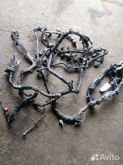Подкапотная проводка Infiniti Fx 45