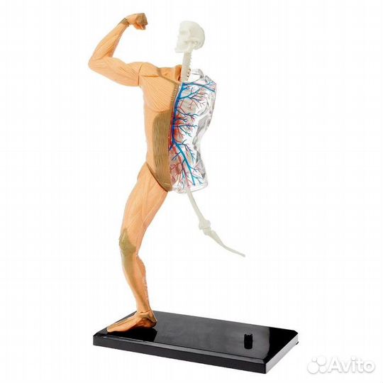 Эврики Научный опыт 