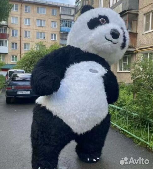 Кунг фу панда Костюм аниматора