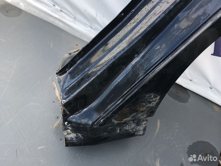 Зад Лев арка Focus 3