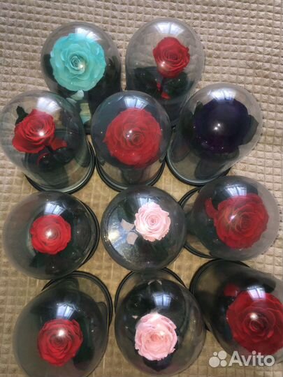 Роза в колбе