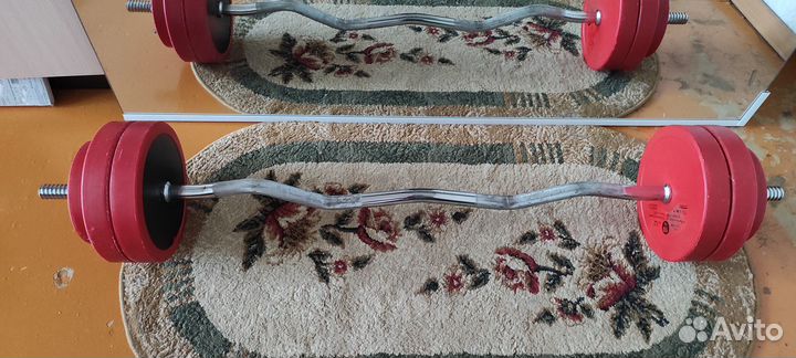 Штанга с блинами,и гантели