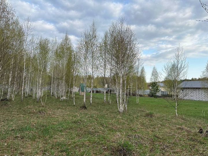 Участок 13,2 сот. (ИЖС)