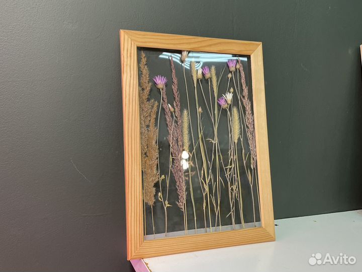 Фитокартина из сухоцветов