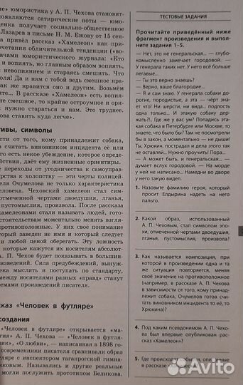 Книжка для подготовки к егэ по литературе