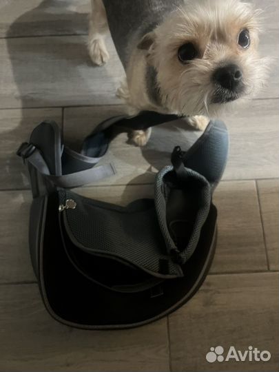 Сумка переноска для маленьких собак