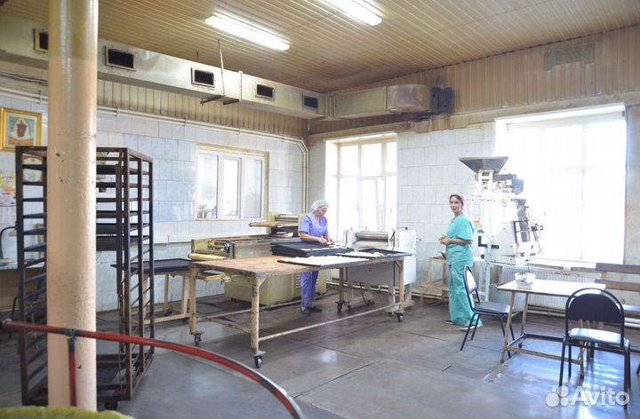 Прибыльный действующий Хлебзавод