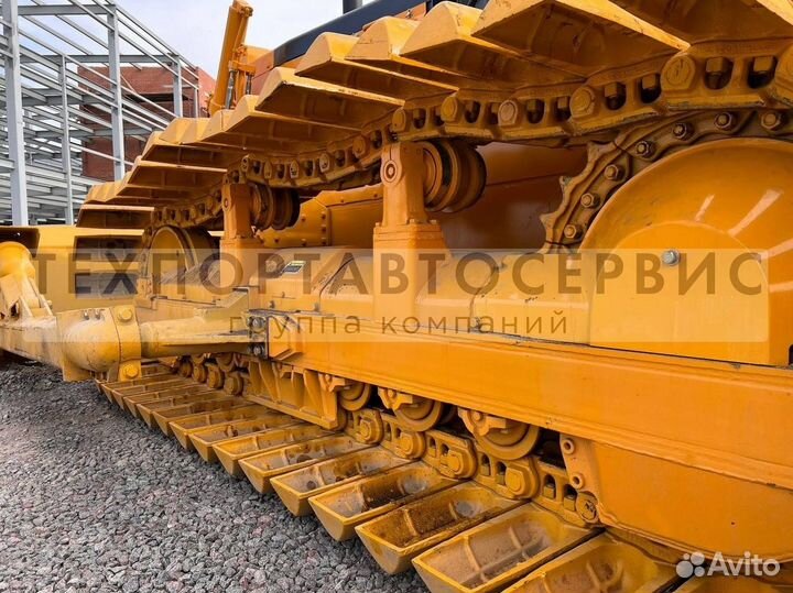 Beezone D16-5S, 2023