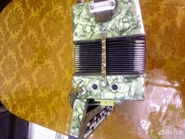 Баян немецкий