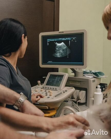 Ветеринар, Ветеринарный врач на дом