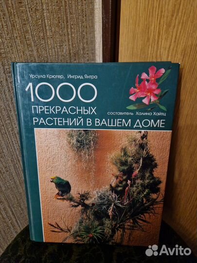 Книги. Кошки.Собаки.О вкусной пищи. Украшаем стол