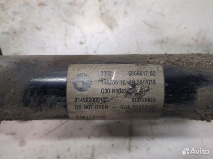 Амортизатор подвески BMW 5 G30 2016, 2018