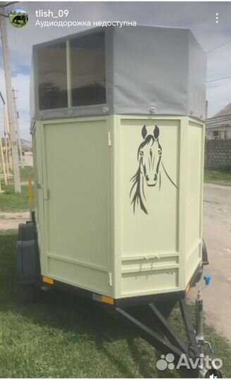 Перевозка лошадей. Аренда коневоза