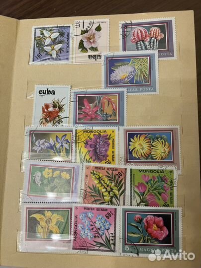 Большая коллекция разных марок