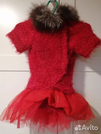 Тёплый наряд для собачки