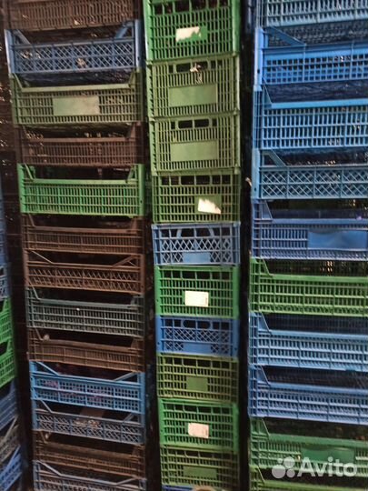 Пластиковые ящики