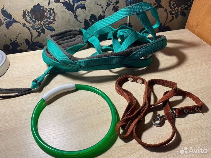 Амуниция и игрушки для собак