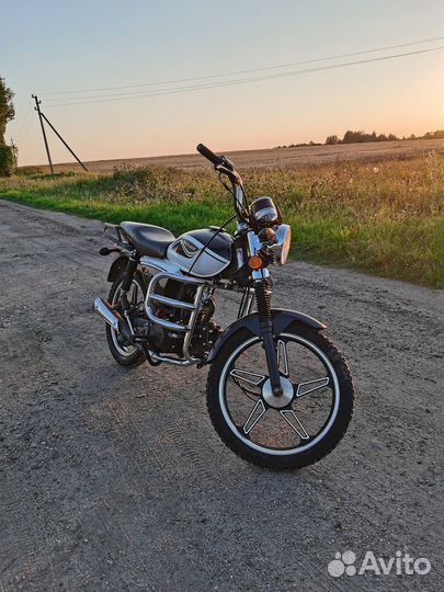 Alpha rx 110