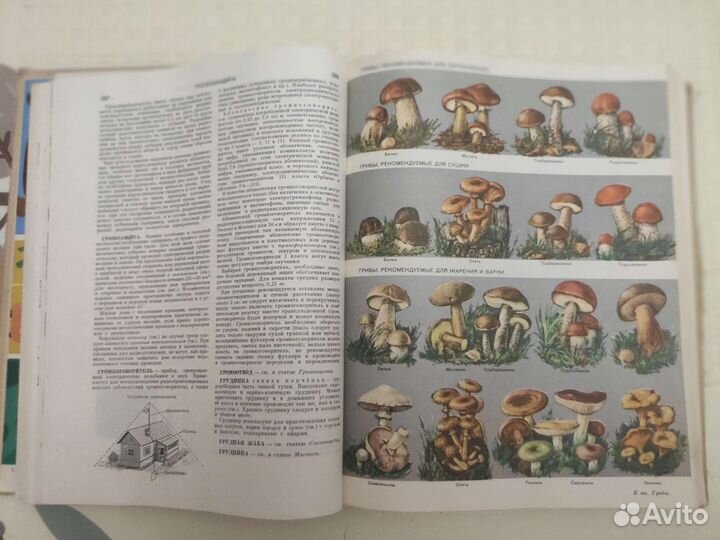 Энциклопедия домашнего хозяйства