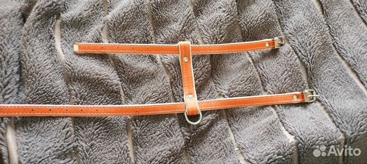 Шлейка для маленькой собаки