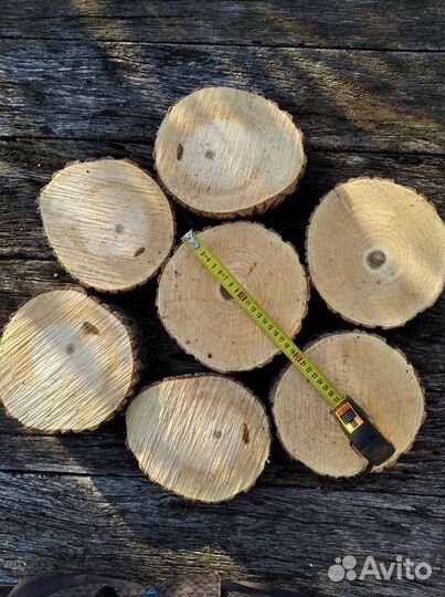 Спилы дерева