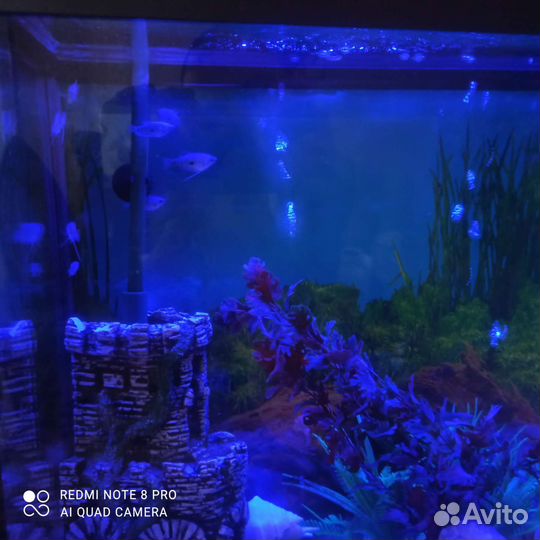 Аквариум
