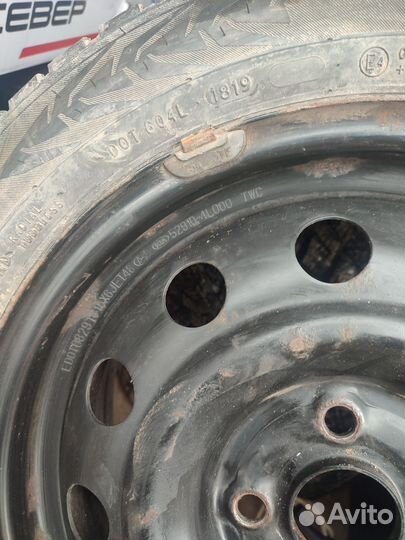 Nokian nordman 7 на дисках