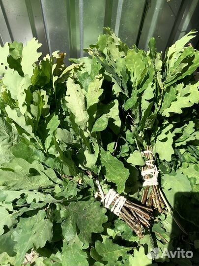 Веники для бани