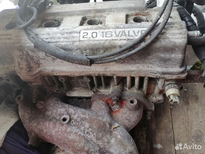 Гбц Карина е Калдина Корона