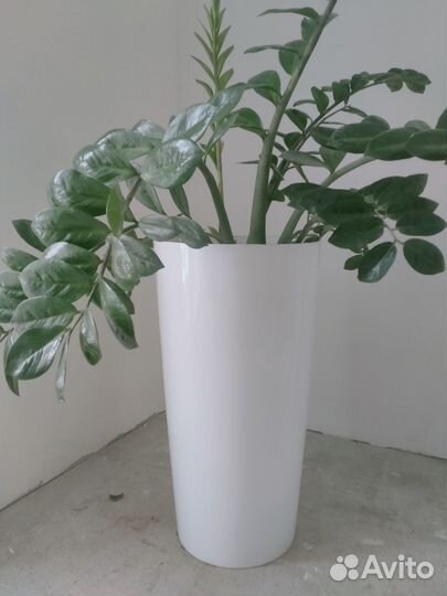 Кашпо напольное с растением