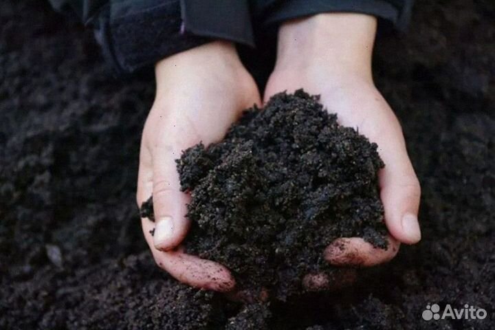 Чернозем с доставкой