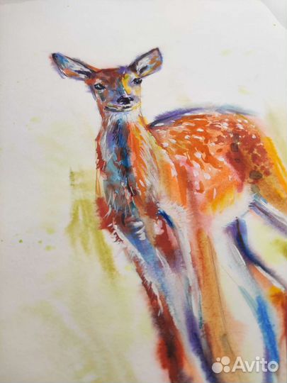 Картина акварелью. Оленёнок