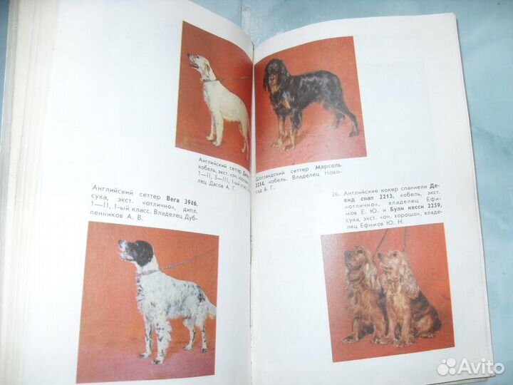 Каталог первой Ташкентской выставки собак
