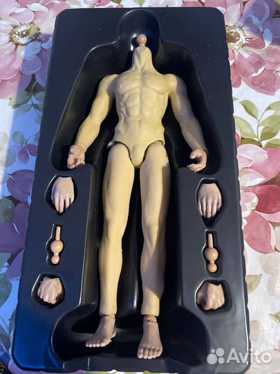 Тело 1/6 мужское для Phizen, BJD