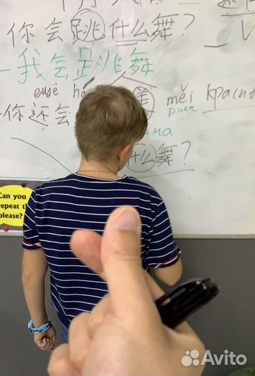 Учитель по китайскому языку