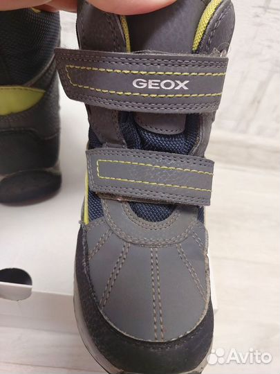 Ботинки geox 26 русский