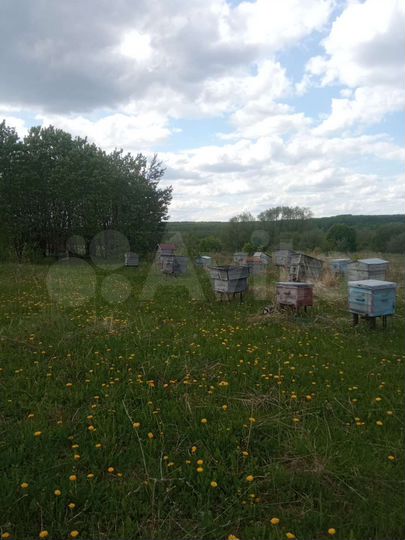 Дом 40 м² на участке 15 сот.