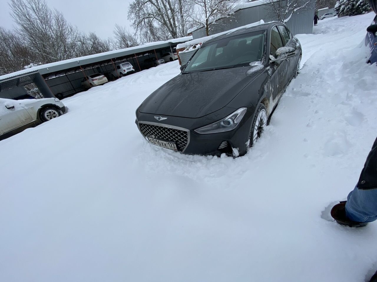 Genesis G70: фото владельца